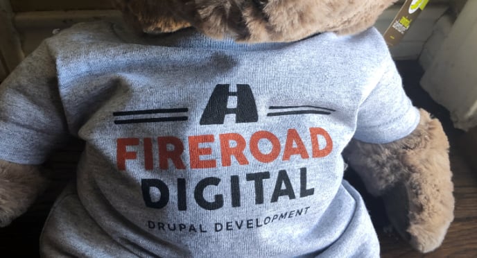 Teddy bear wearing FireRoad Digital t-shirt